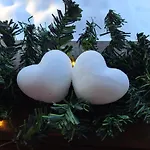 Arctic Circle House