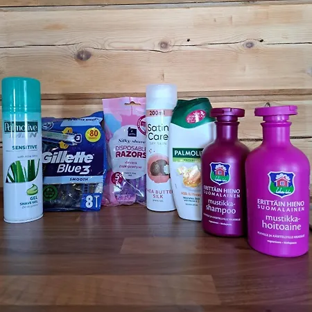 Chalet Arctic Circle House