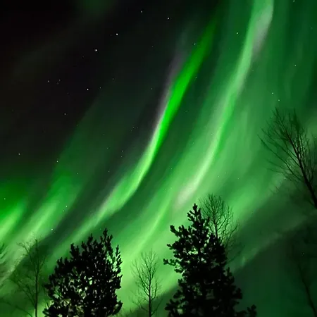 Arctic Circle House Chalé *