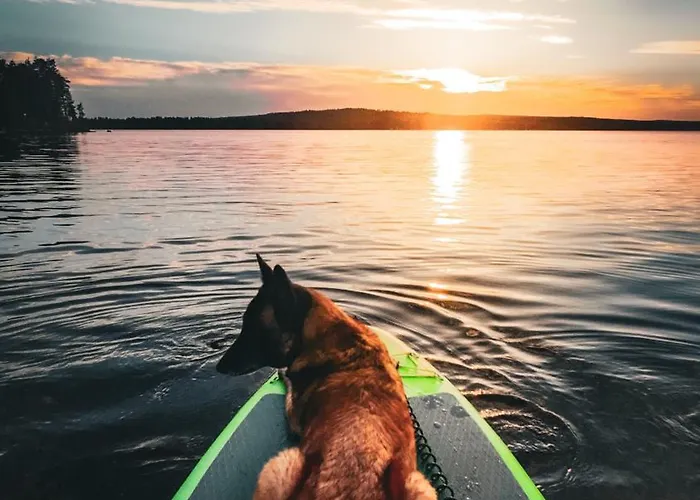Шале Arctic Circle House