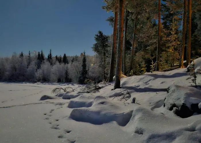 Arctic Circle House Шале Мельтосярви