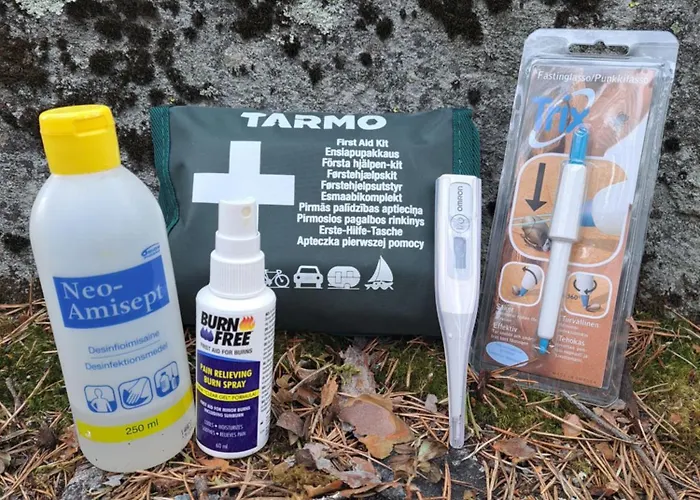 Шале Arctic Circle House *